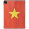 Vietnam Flag Distressed iPad Pro 11in (2024) Clear Case